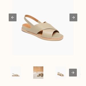 Coclico Kerena sz 39